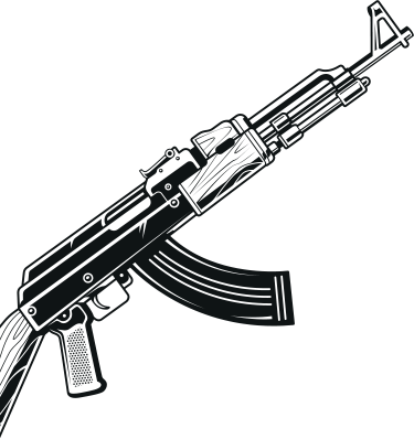 wtfguns.com