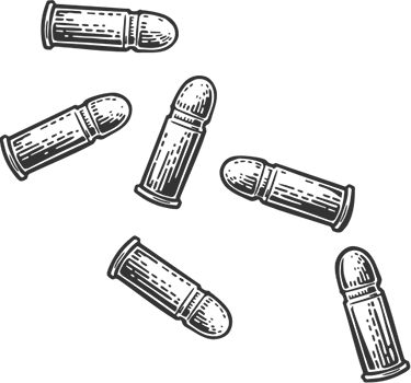 wtfguns.com