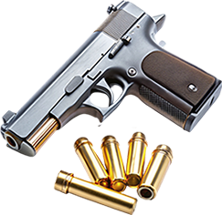 wtfguns.com