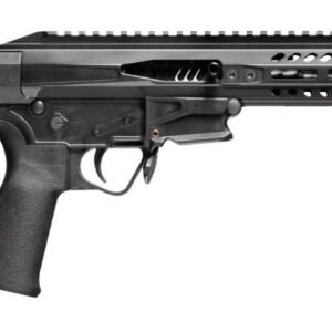 01678fe97.jpg POF USA PSG .22LR PISTOL 8" BLK BRACE