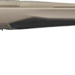 BRN XB2 SPD MB 243 22B FDE