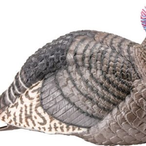 100003.jpg HS STRUT TURKEY DECOY JAKE - STRUT-LITE