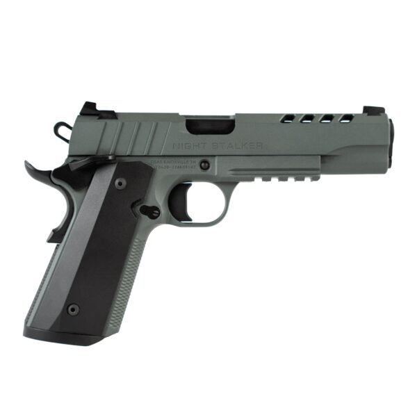 1010051279f1.jpg TISAS 1911 NIGHT STALKER GRY 10MM