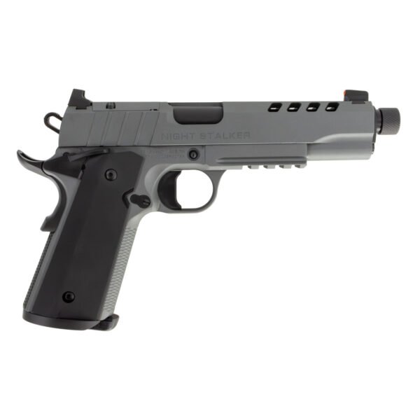 10100558c246.jpg TISAS 1911 NIGHT STALKER 10MM TB #