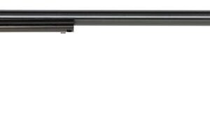 2222ch16055e.jpg HERITAGE MANUFACTURING RR 22LR COLOR CASE 16" 6RD FS