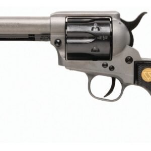 3403328579.jpg CHIAPPA FIREARMS CHIAPPA 1873 REV 22LR TAC GREY
