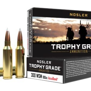 60063.jpg NOS 300WSM 180GR TG ACUBND 20R