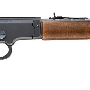 8053800948265-1.jpg CHIAPPA FIREARMS LA BANDIT TAKEDOWN 22LR 12"