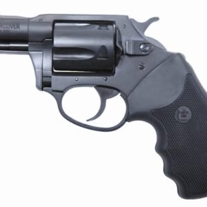 CH13820.jpg CHARTER ARMS UNDERCOVER 38SPC BL 2"