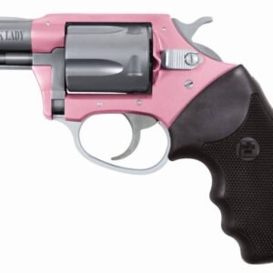 CH53830.jpg CHARTER ARMS PINK LADY 38SPC PINK/SS 2" 5RD