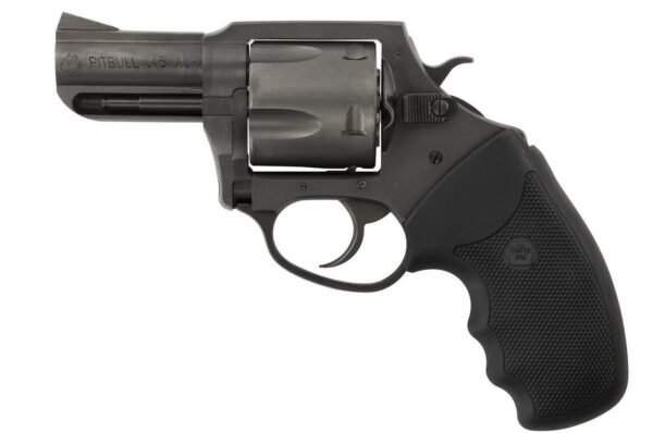 CH64520.jpg CHARTER ARMS CHARTER PITBULL 45ACP NIT 2.5"