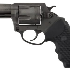 CH69920.jpg CHARTER ARMS CHARTER PITBULL 9MM NIT 2" FS