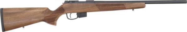 G015621_RIGHT.jpg ANSCHUTZ 1761L D HB 17HMR - 20" BLUED/WALNUT CLASSIC LH