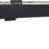 CZ 457 AMERICAN 22LR 20.5" SS - THREADED BBL. BLACK STOCK