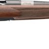 G036090282.jpg BROWNING X-BOLT 2 MEDALLION - 6.5CM 22" WALNUT/CARBON FIBER