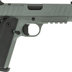G10100135.jpg TISAS 1911 B45BA NSSF-C 45ACP - 4.25" BBL 8RD W/ CASE GREY