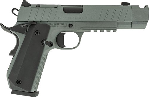 G10100135.jpg TISAS 1911 B45BA NSSF-C 45ACP - 4.25" BBL 8RD W/ CASE GREY