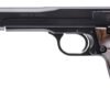 G130512.jpg S&W 41 22LR 7" AS - 10SH-ATS-TS-DT BLUED WOOD