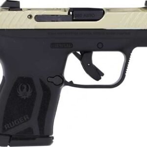 G13742.jpg RUGER LCP MAX 380ACP FRONT - NIGHT SGT CHAMPAGNE PVD SLIDE
