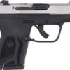 G13754.jpg RUGER LCP MAX 380ACP FRONT - NGT SGT TWO-TONE MAG DISCONNEC