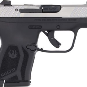 G13754.jpg RUGER LCP MAX 380ACP FRONT - NGT SGT TWO-TONE MAG DISCONNEC