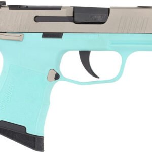 G365380REBMS_1.jpg SIG P365 MIC COMP 380ACP 3.1" - XRAY3 OR (2)10RD ROB EGG/NICK