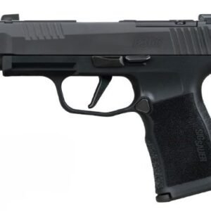 G365XL380COMP10.jpg SIG P365 XL COMP 380ACP 3.1" - XRAY3 (2)10RD POLYMER/BLACK