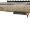RUGER AMERICAN GENII RANCH - 6.5 GRENDEL 16.1" COBALT FDE