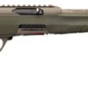 G521158102.jpg WINCHESTER WILDCAT 22LR 18" - OD GREEN/FDE SYNTHETIC
