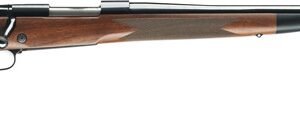 G535203233_1.jpg WINCHESTER MODEL 70 SUPER - GRADE 300WM 26" BLUED/WALNUT