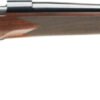 G535203294.jpg WINCHESTER MODEL 70 SUPER - GRADE 6.5PRC 24" BLUED/WALNUT
