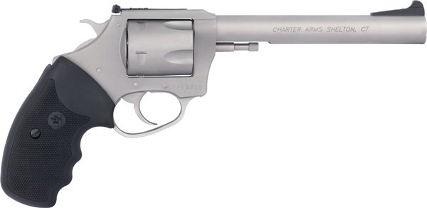 G79960_RIGHT.jpg CHARTER ARMS PIT BULL 9MM - 6" ADJ S/S