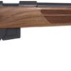 GA019317.jpg ANSCHUTZ 1761 D HB 17HMR - 20" BLUED/WALNUT CLASSIC