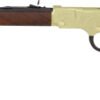 GH004VD4_LEFT.jpg HENRY GOLDENBOY DELUXE 4TH ED. - ENGRAVED 17HMR