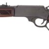 HENRY H9 PROVIDER RIFLE 360BH - 20" PISTOL GRIP BLUED WALNUT