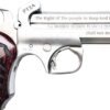 GPT2A45410.jpg BOND ARMS PROTECT 2ND AMMEND - 45LC/410 3" 4.25" W/HOLSTER