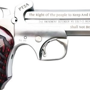 GPT2A45410.jpg BOND ARMS PROTECT 2ND AMMEND - 45LC/410 3" 4.25" W/HOLSTER