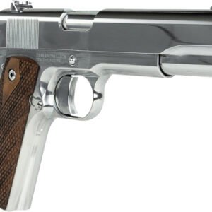GT10100513_1.jpg TISAS REGULATOR 1911A1 38 SUP - 5" BBL 2-9RD POLISHED CHROME