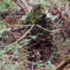 MOOBLSSM_IN-USE.jpg TITAN LEAFY SUIT MOSSY OAK - OBSESSION NWTF S/M PANTS/TOP