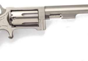 NAASidewinder22Mag.png NORTH AMERICAN ARMS SIDEWINDER 22MAG 4" SS #