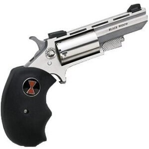 NONAABWC.jpg NORTH AMERICAN ARMS 22M/22L CON 2" BLK WIDOW SS FS