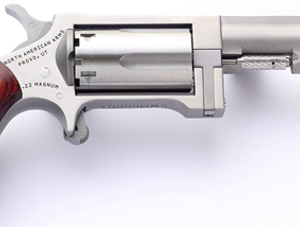 NorthAmericanArmsSidewinder2.5InchBarrel-1 NORTH AMERICAN ARMS SIDEWINDER 22M/22LR 2.5" SS