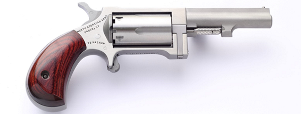 NorthAmericanArmsSidewinder2.5InchBarrel-1 NORTH AMERICAN ARMS SIDEWINDER 22M/22LR 2.5" SS