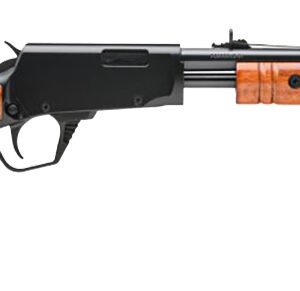 RP22181WD.jpg BRZ ROSSI GALLERY 22LR RFL WD
