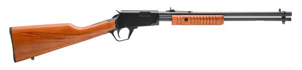 RP22181WD.jpg BRZ ROSSI GALLERY 22LR RFL WD