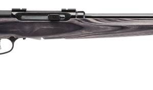SV47006.jpg SAVAGE ARMS A17 TARGET 17HMR BL/LAM 22"