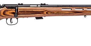 SVMARKIIBTV-AT.png SAVAGE ARMS MARK II BOLT 22LR BL/LAM TH #