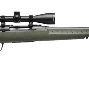 SAVAGE ARMS AXIS 2 CPT 243WIN BL/GRN PKG #