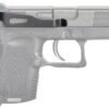 dbbr_on-gun.jpg TECHNA CLIP HANDGUN RETENTION - CLIP DIAMONDBACK DB380/DB9 RS