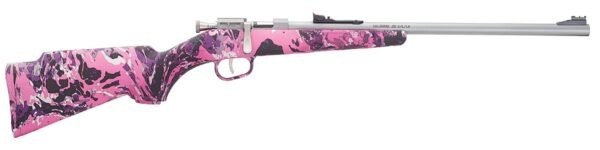 h005rmg0161.jpg HENRY REPEATING ARMS H5 MINI BOLT G2 22LR SS/MUDDY